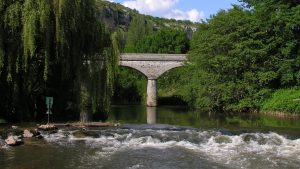 accueil-cele