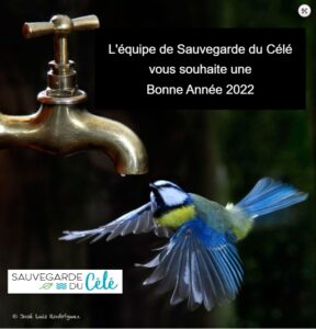 Capture d’écran 2021-11-25 185039 2